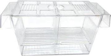 Osaka Breederbox / kweekbakje Large (Kweken), Ophalen of Verzenden, Nieuw, Overige typen