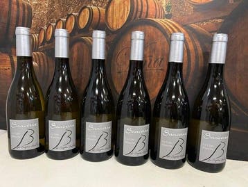 2023 Sophie Bertin - Cote Blanche - Sancerre - 6 Flessen, Nieuw