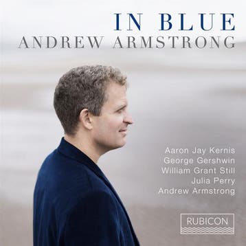 cd - andrew armstrong - IN BLUE (nieuw), Verzenden, Zo goed als nieuw