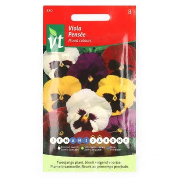 Bloemzaden Viooltjes | VT (Gemengd), Verzenden