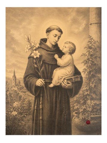 Sint-Antonius van Padua – De Heilige der Lelies – Druk op