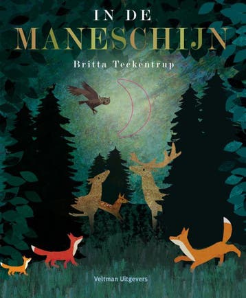 In de maneschijn - Britta Teckentrup 9789048315642, Verzenden, Gelezen, Britta Teckentrup
