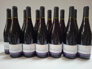 2023 Sélection Claude Théodore - Côte de Brouilly - 12, Verzamelen, Wijnen, Nieuw