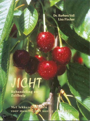 Jicht - B. Voll 9789060306369, Verzenden, Gelezen, B. Voll