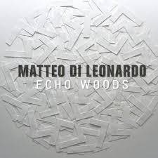 cd - Matteo Di Leonardo - Echo Woods, Verzenden, Zo goed als nieuw