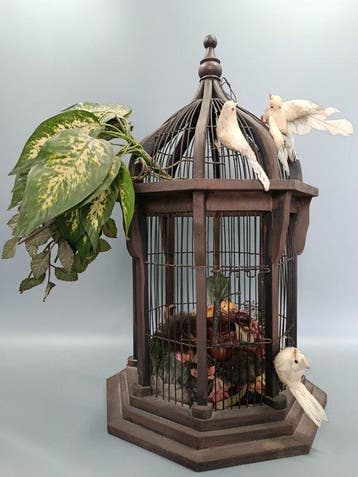 Vogelkooi - Hout