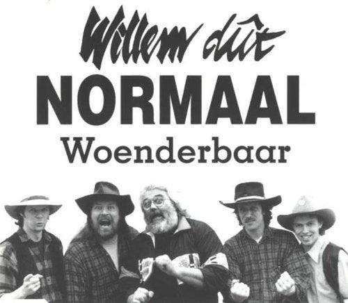 cd single - Normaal - Woenderbaar, Cd's en Dvd's, Cd Singles, Zo goed als nieuw, Verzenden