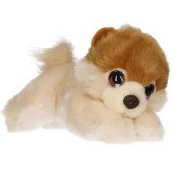 Pomeranian puppy knuffel - pluche - 25 cm, Verzenden, Nieuw