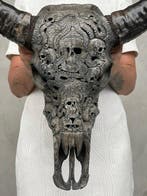 Geen reserveprijs- C - Prachtige Grote Grijze Uitgehouwen, Antiek en Kunst