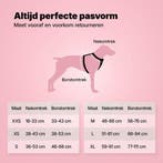 2dekans | Jake en Jacky Hondentuigje Hond Medium - Anti-Trek, Dieren en Toebehoren, Ophalen of Verzenden, Zo goed als nieuw