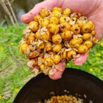 Karpervoer | Tijgernoten | Partikels | Boilies | Pellets, Ophalen of Verzenden, Nieuw, Overige typen