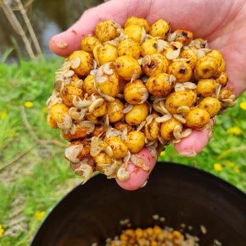 Karpervoer | Tijgernoten | Partikels | Boilies | Pellets, Ophalen of Verzenden, Nieuw, Overige typen