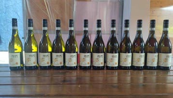 2022 Luca Luigi Tosa, Moscato d’Asti - Piëmont DOCG - 12, Nieuw