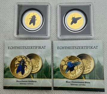 Tsjaad. 3000 Francs ND Xylocopa Violacea & Caerulea , (2