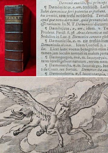 [PEGASUS ENGRAVING] [Folio 7KG, 39CM] Basilii Fabri Sorani -