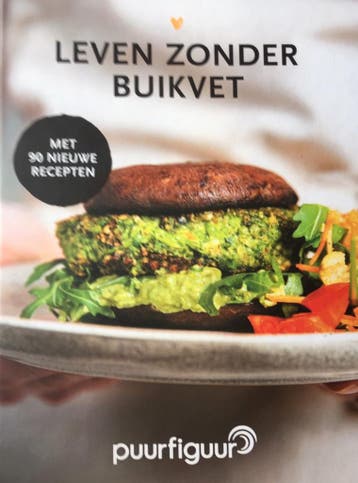 Leven zonder buikvet - Ilse de Groot 9789090341880, Boeken, Verzenden, Zo goed als nieuw, Ilse de Groot
