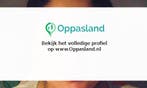 Ik ben Larissa, 19 jaar oud en ik zoek oppaswerk in Delft.