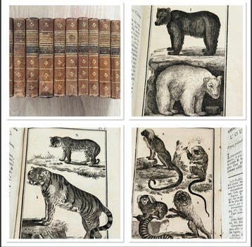 Buffon - Histoire Naturelle, Générale et Particulière