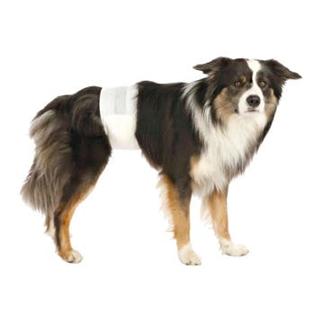 Trixie Luiers voor Reuen - L/XL - 12 Stuks, Verzenden, Nieuw