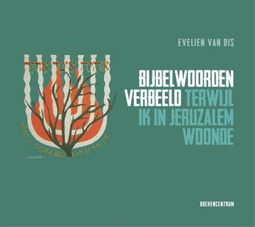 Bijbelwoorden verbeeld - Evelien van Dis 9789023952213, Verzenden, Gelezen, Evelien van Dis