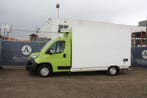 Veiling: Koelbakwagen Fiat Ducato Diesel 120pk 2021, Gebruikt, Fiat, Groen, BTW verrekenbaar