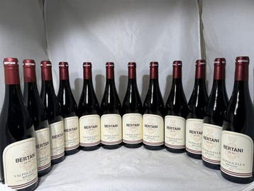 2023 Bertani Valpolicella Ripasso - Veneto - 12 Flessen, Nieuw
