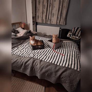 Appartement gevonden in of bij Ijmuiden, Huizen en Kamers, Direct bij eigenaar, Noord-Holland, Appartement, Ijmuiden