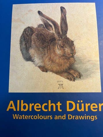 Albrecht DÃ¼rer - Berger, Verzenden, Gelezen