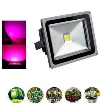 LED Bouwlamp Groeilamp - Full Spectrum - 30 Watt, Ophalen of Verzenden, Nieuw, Minder dan 50 watt, Lamp met armatuur