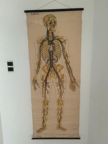 Prof. J.A.J. Barge - G.B. van Goor - Schoolplaat van de, Antiek en Kunst