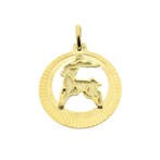 Gouden sterrenbeeld hanger; Steenbok (Hanger of bedel), Ophalen of Verzenden, Gebruikt, Goud, Overige merken