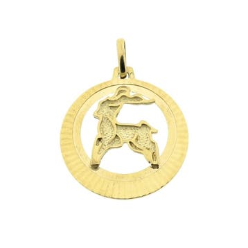 Gouden sterrenbeeld hanger; Steenbok (Hanger of bedel), Sieraden, Tassen en Uiterlijk, Bedels, Ophalen of Verzenden, Gebruikt