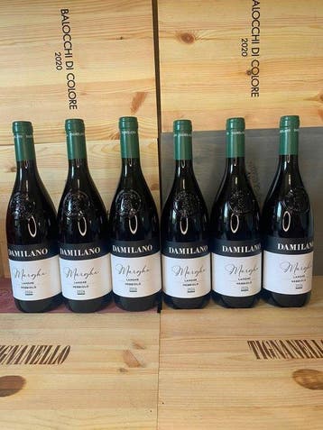 2024 Damilano Marghè Langhe Nebbiolo - Langhe DOC - 6, Verzamelen, Nieuw