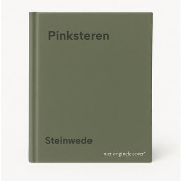 Pinksteren - Steinwede 9789061732525, Verzenden, Gelezen, Steinwede