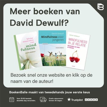 Mindfulness - David Dewulf 9789033475498, Boeken, Verzenden, Zo goed als nieuw, David Dewulf