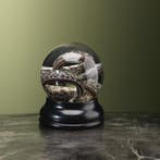 Slang op Sterk Water Taxidermie Opgezette Dieren By Max, Verzamelen, Dierenverzamelingen, Ophalen of Verzenden, Nieuw, Reptiel of Amfibie