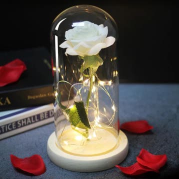 Kunst Roos in Glazen Stolp met Verlichting - Zijden Rozen, Verzenden, Nieuw