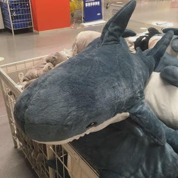 Zachte Knuffel Haai Pluche Speelgoed - Verkrijgbaar in 30 t/