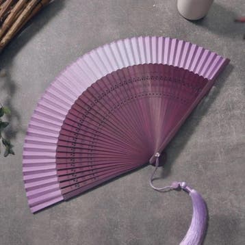 Luxe Bamboe Vouwventilator met Gradatiekleur & Kwastje - Ret, Verzenden, Nieuw