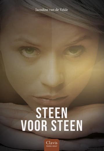 Steen Voor Steen | Jacodine Velde | Nieuw, Ophalen of Verzenden, Nieuw, Jacodine Velde