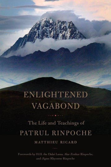 9781611803303 Enlightened Vagabond Matthieu Ricard, Verzenden, Nieuw, Matthieu Ricard