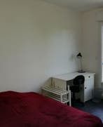 Te Huur Kamer Dierenselaan In Den Haag, Huizen en Kamers, Minder dan 20 m², Den Haag