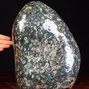 Green Orbicular Jasper - Groot oceaangroene jaspis in vrije, Verzamelen, Mineralen en Fossielen