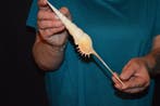 Zeeslak Zeeschelp - S-247 TIBIA FUSUS (Zonder minimumprijs)
