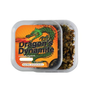 Dragons Dynamite Truffels - 15 gram, Ophalen of Verzenden, Nieuw