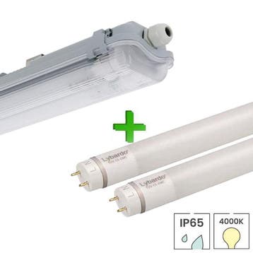 IP65 LED TL armatuur 120 cm dubbel + 2 LED TL buizen | 18, Verzenden, Nieuw, Functioneel