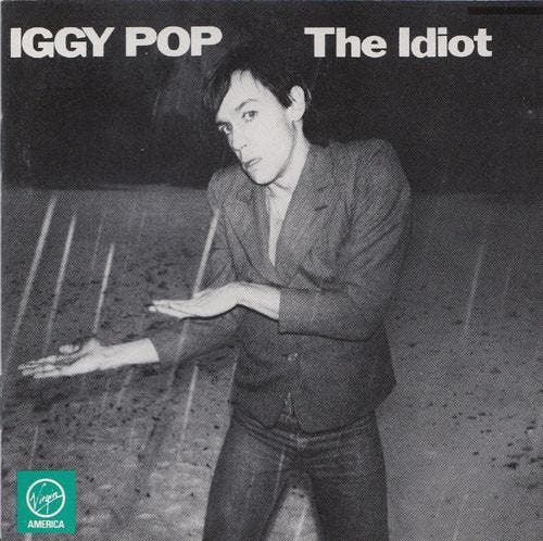 Iggy Pop - The Idiot (CD, 1990), Cd's en Dvd's, Cd's | Rock, Gebruikt, Ophalen of Verzenden