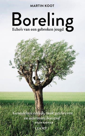 9789493272705 Boreling | Tweedehands, Verzenden, Zo goed als nieuw, Martin Koot
