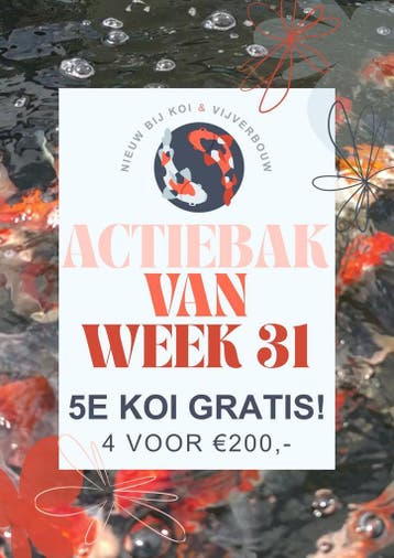 Koi aanbieding Conias: 5e gratis!, Karper of Koi