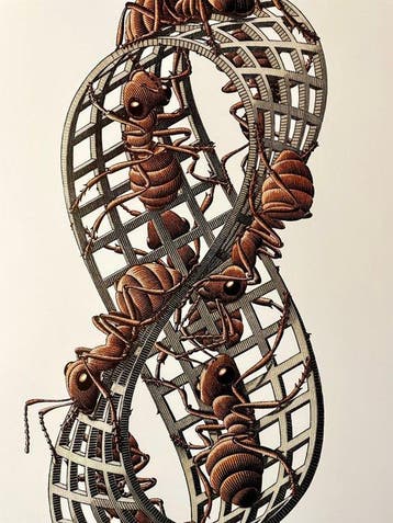 M.C. Escher (1898-1972) - Möbius Strip II (Red Ants), Antiek en Kunst